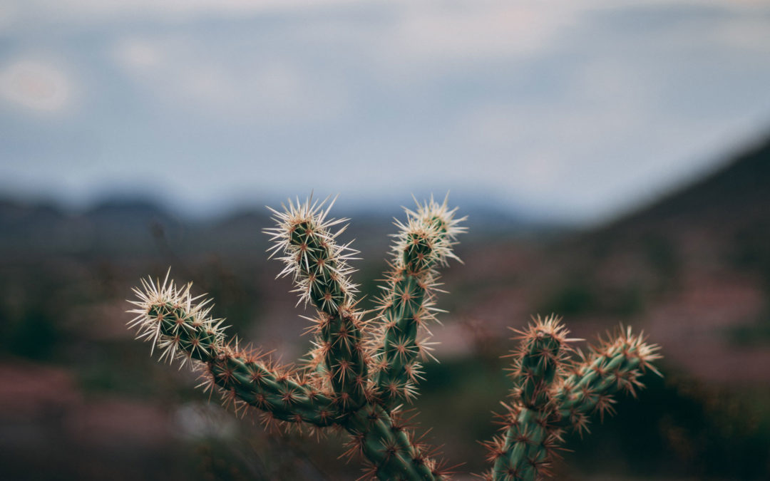 A Quick NON-Attorney Guide to Arizona Divorce Laws